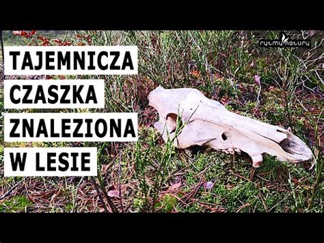  The Silent Patient - Dusząca Intryga i Tajemnicza Czaszka